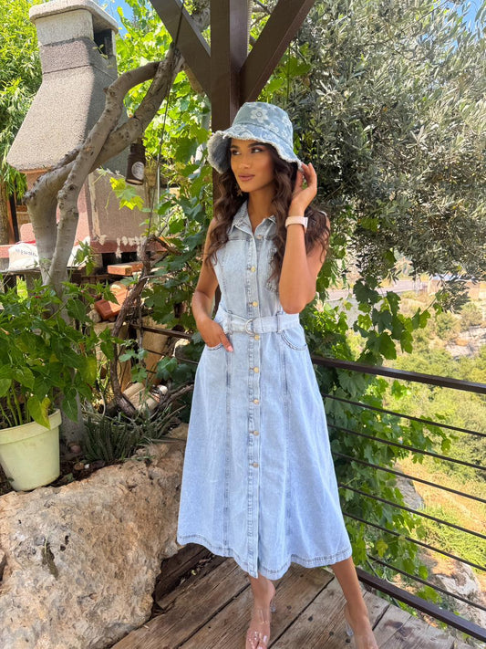 Damnia denim dress