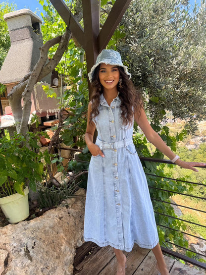 Damnia denim dress